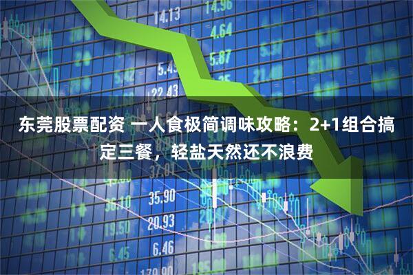 东莞股票配资 一人食极简调味攻略：2+1组合搞定三餐，轻盐天然还不浪费